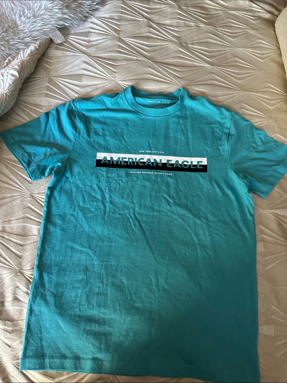 American Eagle Outfitters Teal Logo Crew Tee